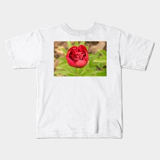 32218 red poppy Kids T-Shirt